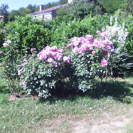 Caumont-sur-Garonne L'Ancien Patronage 게스트하우스 외부 사진